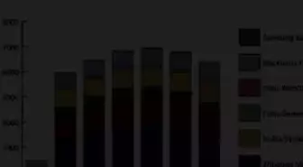 Mobil Uygulama Çılgınlığı