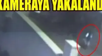 Bu da Çay Şeker Hırsızı