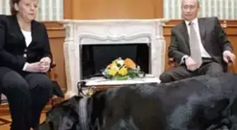 Liderler ve Korkuları