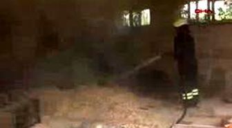 Bartın - Yılandan Korkup Depoyu Ateşe Verdi