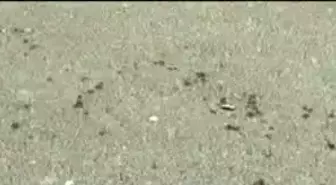 Diskotek Kavgasında Kaleci Bıçaklandı