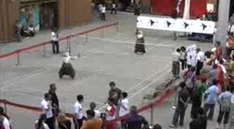 Badminton'un Sıradışı Oyuncuları