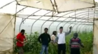 Yağış Seraları Vurdu