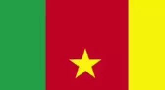 Kamerun - Danimarka: 1 - 2