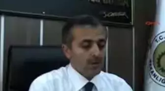 Samsun'da Şap Karantinası