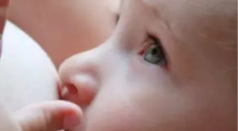 'Süt' Gerçekten Korur mu?