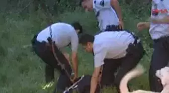 Köpek Kulübesinden Hırsız Çıktı