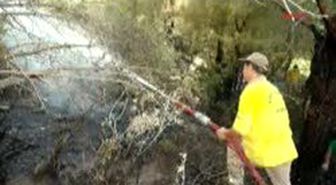 Orman Yangını Ucuz Atlatıldı
Orman Yangını Ucuz Atlatıldı