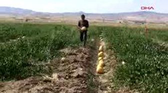 Fareli Köyün Avcıları