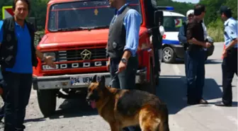 Suç Şebekesine Baskın