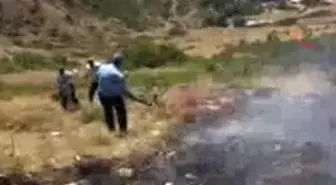 Tatvan-Yılanı Öldürmek İsterken Ormanı Yaktı