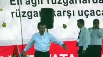 Fareler, Tilkiler. Tavşanlar...