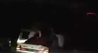 Adana - Kınalı Kuzular Asker Ocağına Uğurlanıyor