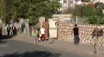 Siirt 
*Siirt'te Evleri Gezerek Aileleri, Okul Boykotuna Uymaları Yönünde Tehdit Eden 3 Kişi Polis Tarafından Gözaltına Alındı.