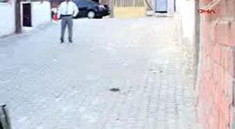 Denizli - Hayata Dört Elle Sarıldılar
Prematüre Doğan Dördüzler Tedavilerinin Ardından Bir Araya Geldi