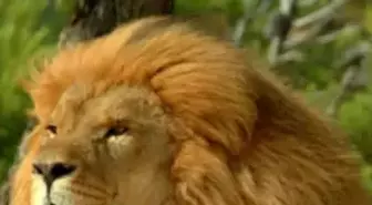 Her Perşembe 'The Most Extreme' Scı Tech Tv