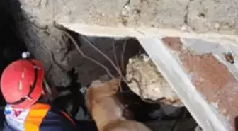 'Bizim Çocuklar' Parmak Isırttı

