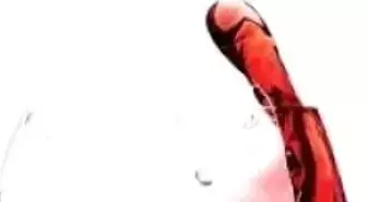 Kayra, Uluslararası Salone Del Gusto 2010'da Türk Şaraplarını Tanıttı