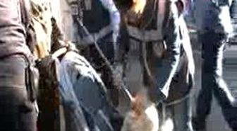 Başbakan Erdoğan Şanlıurfa'da