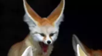 Sci Tech TV’de, The Most Extreme