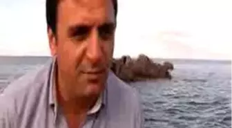 Bodrum Ek Badem´Den Sonra Şimdi De ´Fok Bayram´