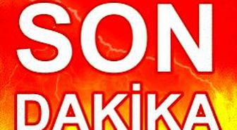 17'lik Genç Kreş Bastı