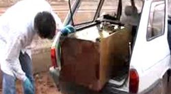 Şanlıurfa - Hırsızlar Umduğunu Bulamadı
Önce Otomobil Sonra Kasa Çaldılar, Kasa Boş Çıkınca Bırakıp Kaçtılar