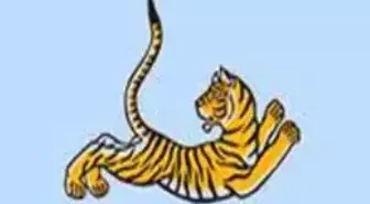 Rotterdam Film Festivali'nde Ödül Alan Filmler