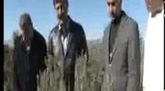 Mersin-Bal Üretim Ormanı Arıcıların Yüzü Güldürüyor