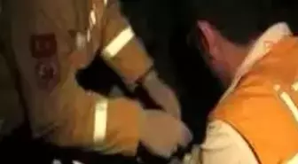 İzmir - Çarptıkları Ağaç Canlarını Kurtardı