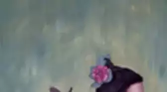 'Ars Longa Vita Brevis'