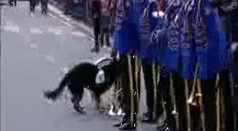 Polis Teşkilatı'nın Kuruluş Kutlamaları