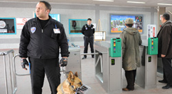 Metro’da Asayişin Adı: K-9

