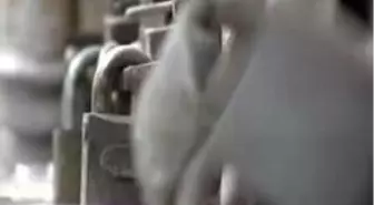 Van' da Kısa Süreli Gerginlik Çıktı