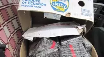 Muz Kutuları İçinde 20 Kilo Eroin