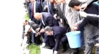 Yaşayan Fosil, Mersin Balıkları Törenle Yeşilırmağa Bırakıldı