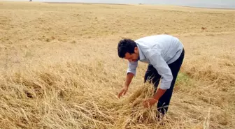 10 Dakikalık Yağış, Silopi'de 2 Minareyi Yıktı