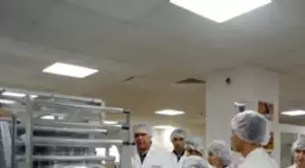 Marketing-Expedition'ı Kazanan Gençler Pfizer'de Staj İmkanı Elde Etti!