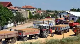 Babaeski Tmo, Emanet Buğday Alımına Başladı