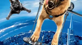 Kediler ve Köpekler: Kitty Galore’un İntikamı Filmi