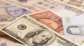 1,73'ü Aşan Dolara Müdahale