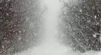 Yeni Zelanda'da Kar Fırtınası Hayatı Felç Etti