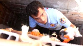 Havalandırmaya Düşen Yavru Kediyi İtfaiye Kurtardı
