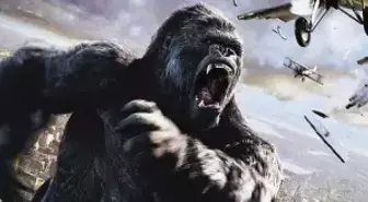 Kıng Kong