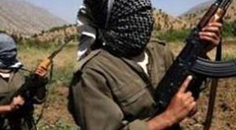 Yaralı PKK'lıyı Köyde Gizleyip Tedavi Ettiler
