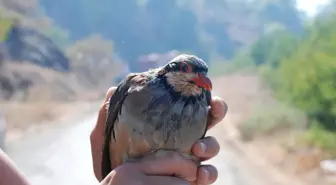 Dalaman'da Çıkan Yangın Korkuttu (3)