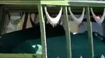 Ölen Gençlerin Cenazeleri Adli Tıp'ta