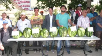 Sorgun'da 'karpuz Hasat Şenliği'