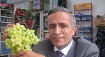 THY Yolcuları Ücretsiz Kuru Üzüm Yiyecek