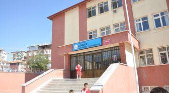 Kırıkkale'de Tilki ve Kedi Operasyonu